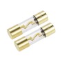 Gold Plating Color AGU Fuse – 20 to 120A