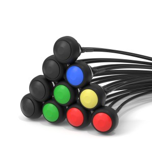 Other Push Button Switch