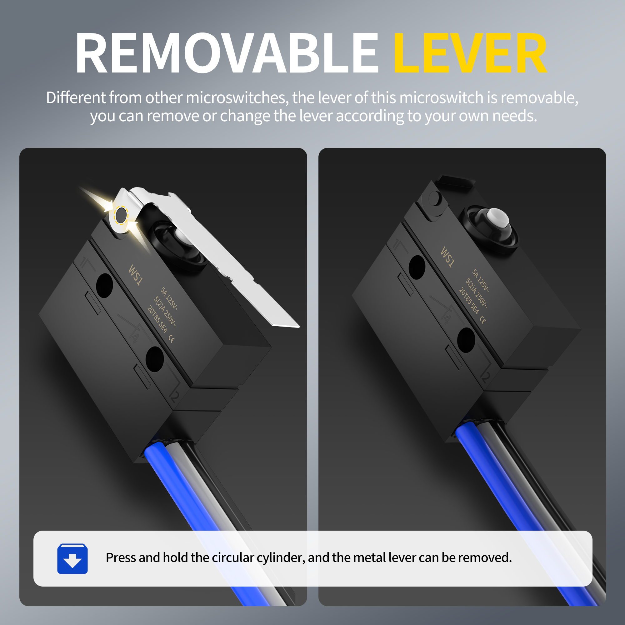 WS1-Z7-W300R300 6A 12V DC IP67 Waterproof Micro Limit Switch with Middle Lever and Pre-Wired