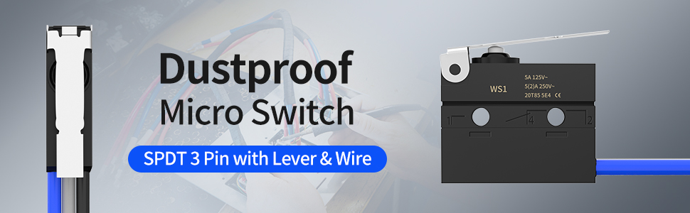 WS1-Z7-W300R300 Dustproof Micro Switch