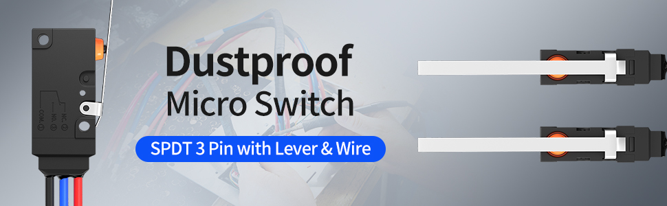 WS2-Z2-W200200 10A 125V 250V 3 Pin SPDT Dustproof Micro Switch